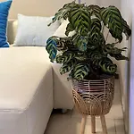 Apartment Mitten In Der Altstadt Koblenz (Rhineland-Palatinate)