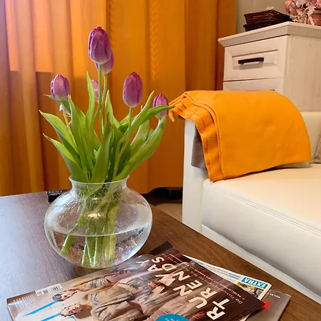 Mitten In Der Altstadt * Coblence