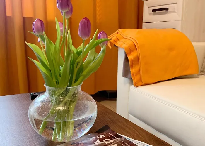 Mitten In Der Altstadt * Coblenza