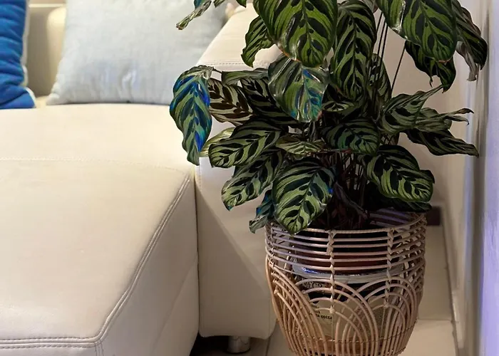 Apartamento Mitten In Der Altstadt Coblenza